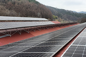 On-grid System in South Korea Hwasan